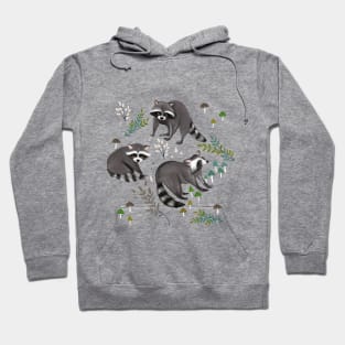 Raccoons Hoodie